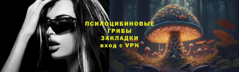 Псилоцибиновые грибы MAGIC MUSHROOMS  где купить наркотик  гидра tor  Полысаево 